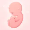 My Pregnancy - Pregnancy Track Apk