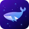 تطبيق Dolphin VPN-Fast  Stable برو