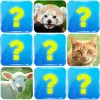 لعبه الحيوانات: لعبة الذاكرة apk مهكر