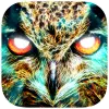 Spirit Animal Oracle Cards Apk
