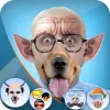 Funny Face Photo Editor-FunApp Apk