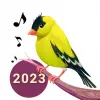 Bird Calls, Sounds  Ringtones Apk