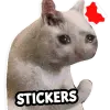 Cat Memes Stickers WASticker Apk