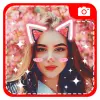 Photo stickers  Photo editor Apk