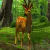3D Deer-Nature Live Wallpaper Apk