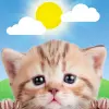 Weather Kitty - App  Widget Apk