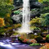 تطبيق 3D Autumn Waterfall Wallpaper برو