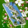 Cherry Blossom Live Wallpaper Apk