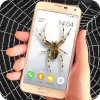 تطبيق Spider filter prank برو