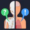 Anato Trivia -  Quiz Anatomy Mod