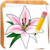 How to Draw Flowers Apk