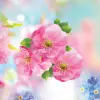 Spring Flower Live Wallpaper Apk