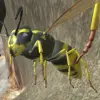 Wasp Nest Simulator - Insect a Mod