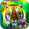 تطبيق 3D الحيوانات الأصوات والخلفيات برو