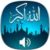 Famous Islamic Songs  Nasheed Apk