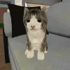Kitty Cat Simulator Mod