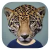 Animal Face Apk