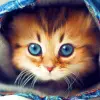 Cute Cats Live Wallpaper Apk