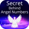 Angel Numbers App - Numerology Apk