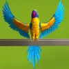 My Talking Parrot Apk