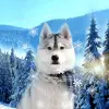 Cute Winter Wallpaper Apk