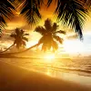 Beach Sunset Live Wallpaper Apk