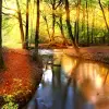 Autumn Forest Live Wallpaper Apk