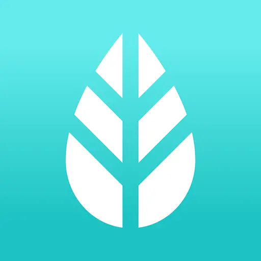 تطبيق موراب للنماذج برو