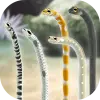 Garden Eel Pet Mod