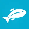 Fishbox - Fishing Forecast Apk