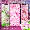 Sakura flowers live wallpaper Apk