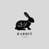 تطبيق Rabbit VPN - بروكسي سريع جدًا برو