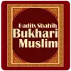 تطبيق Terjemah Shahih Bukhari Muslim برو