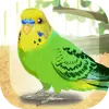 Parakeet Pet Mod