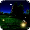 Fireflies Live Wallpaper Apk