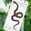 Snake on Screen Hissing Joke Apk