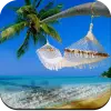 تطبيق HD Beach Wallpapers برو