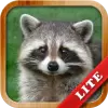 لعبة Animals for Kids apk مهكر