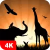 تطبيق Animal Wallpapers 4K برو