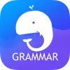تطبيق English Grammar: Learn  Test برو