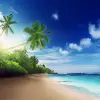 Beach Live Wallpaper pro