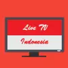 تطبيق TV Indonesia Live Semua Siaran برو