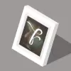 تطبيق Fotoo - Photo Frame Slideshow برو