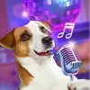 My Pet Singing  Talking pro