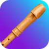 Recorder Lessons - tonestro pro