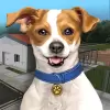 Animal Shelter Simulator apk mod
