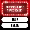 لعبة Trivia Quiz: Super Trivia Game apk مهكر