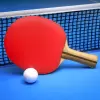 لعبة Ping Pong Fury apk مهكر