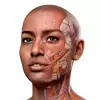 تطبيق Complete Anatomy 2023 برو