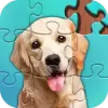 Jigsaw Puzzles apk mod